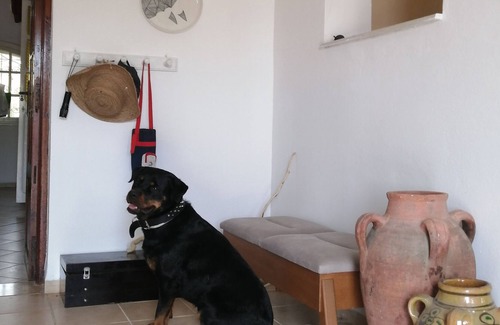 El Haouaria House | Dar Juliette Haouaria