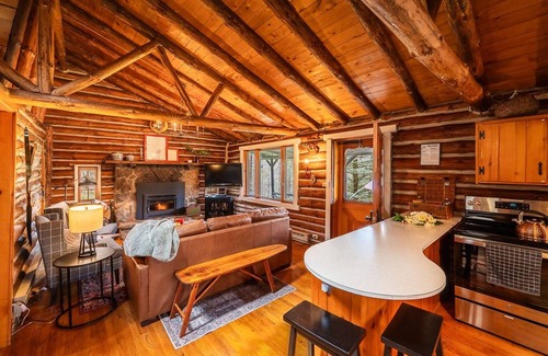 Ulysses Cabin | Dark Sky Escape | Fire Pit + Forest Porch Vibes