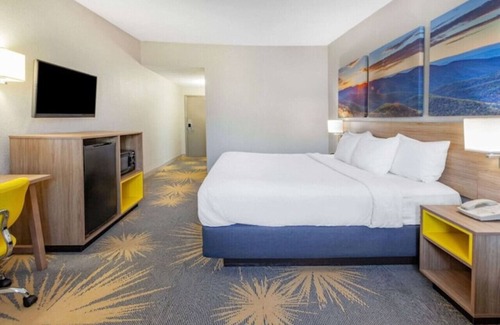 Hollins Hotel | Days Inn I81 king bed