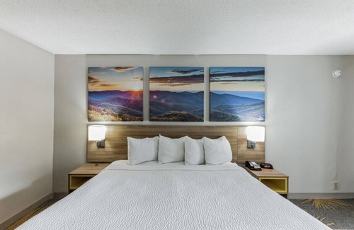 Hollins Hotel | Days Inn I81 king bed