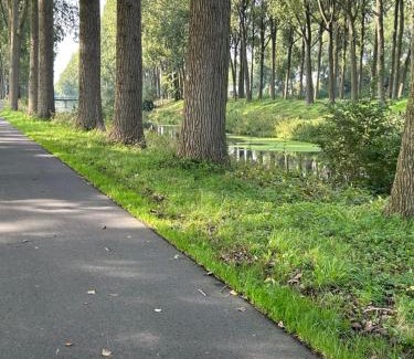 Moerkerke House | De Bijenkorf