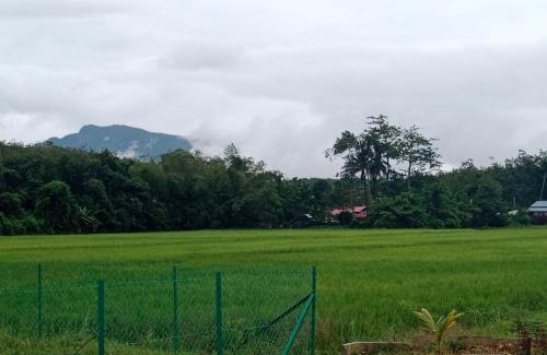 Kampung Bagan Asam House | De Hampar Homestay