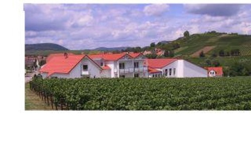 Ilbesheim Bed & Breakfast | 2-bed apartment "2" - Weingut-Gästehaus Hans Dieter Bosch