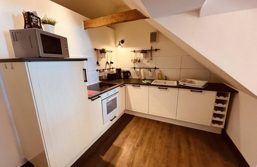 Born auf dem Darss Apartment | De l?tte Leive - sunny roof terrace, dogs allowed, close to the Bodden, Baltic Sea 6km away, WLAN