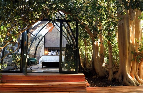 Montagu Apartment | De Nest - Clear glass Tree cabin in Montagu