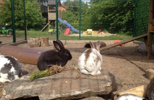 Marxen am Berge Apartment | Picturesque farm in the Lüneburg Heath, holiday apartment, pony rides