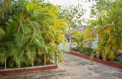 Lacovia Cottage | Deano's Cottage