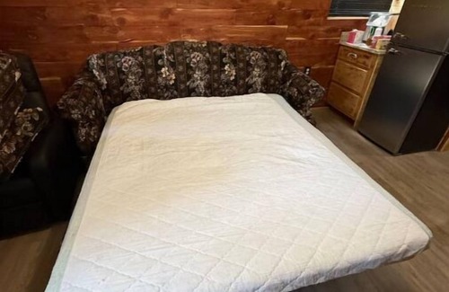 Noble House | Deer Cabin