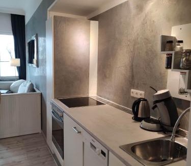 Karolinenkoog Apartment | Deich