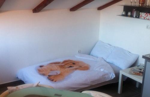 Dajla Apartment | Delfin