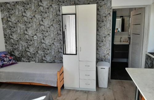 Mikoszewo Apartment | Delfin