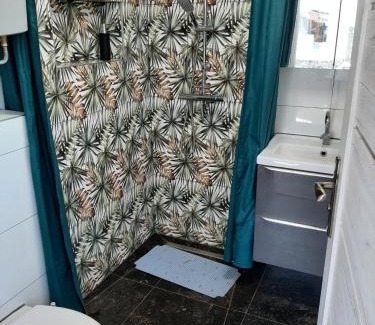 Mikoszewo Apartment | Delfin