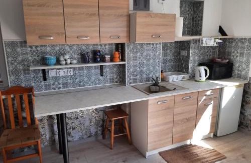 Mikoszewo Apartment | Delfin