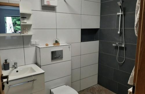 Mikoszewo Apartment | Delfin
