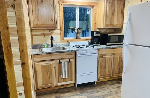 Willow Cabin | Delightful Cabin in Willow sleeps 3! Full Bathroom & Kitchen!