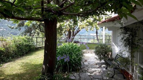 Torrazza Apartment | Deliziosa casetta con dehor e giardino immersa nel verde Ligure