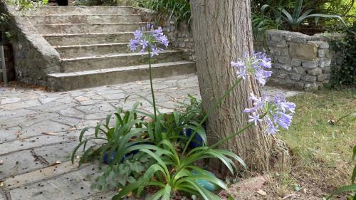 Torrazza Apartment | Deliziosa casetta con dehor e giardino immersa nel verde Ligure