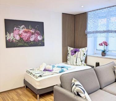 Neustadt an der Aisch Apartment | Deluxe Apartments Neustadt