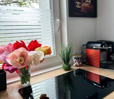 Duisburg Sud Apartment | Deluxe Apartement mit Terrasse