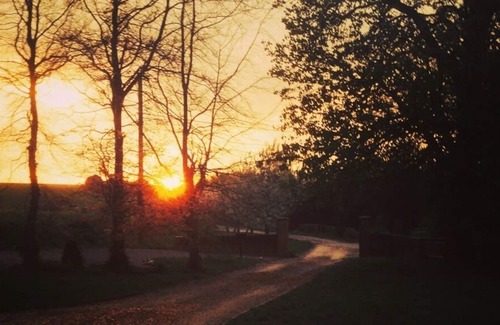 Ewelme Apartment | Deluxe Lodge Pheasants Fligth Lodge at The Chilterns View
