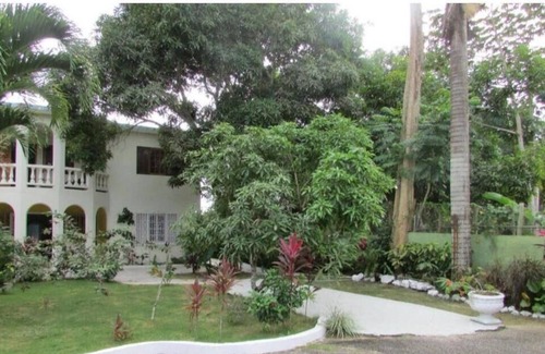 Negril Apartment | Deluxe Queen Studio 3