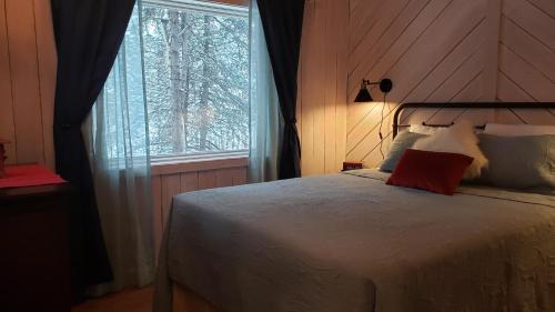 Healy House | Denali Wild Stay - Muskrat cabin, private, free wifi, free parking, sleep 4
