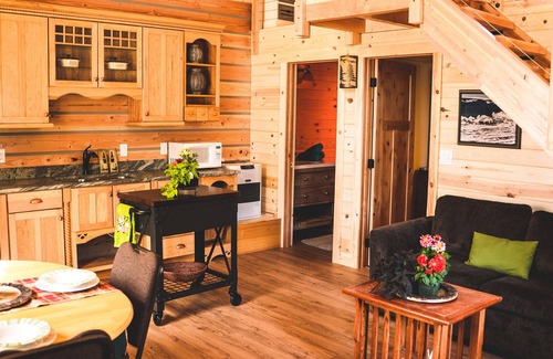 Healy Cabin | Denali Wild Stay