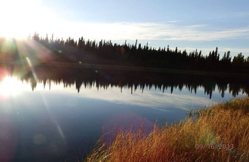 Healy Cabin | Denali Wildlife Wolf Cabin Luxury with a touch of Rustic.