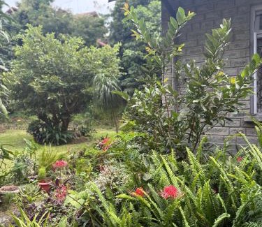 Turuk Bed & Breakfast | Denzong House