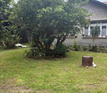 Turuk Bed & Breakfast | Denzong House