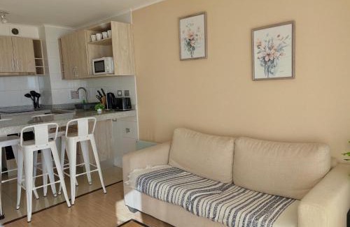 Chillan Apartment | Departamento Centro Chillan - Parking -Vista