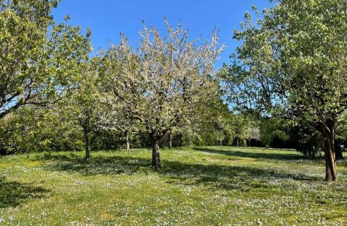 Civray-de-Touraine Bed & Breakfast | Des Roux et des Pious Suite de 35 à 60 m2 et 3 chambres pour groupe de 2 à 6 personnes