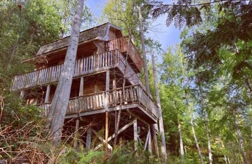 Powell River Cabin | Desolation Sound Resort
