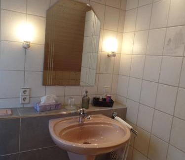 Steinwenden Apartment | DG Wohn-Schlafraum mit Bad