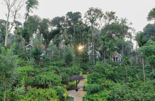 Vayittiri House | Dhanagiri Homestay Wayanad