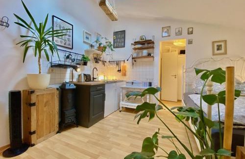 Erfurt Apartment | DIE REMISE mit kostenlosem Parkplatz direkt vor der Tür