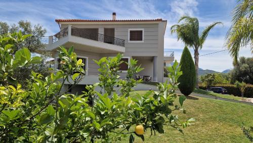 Aigialeia House | Dimitris Villa