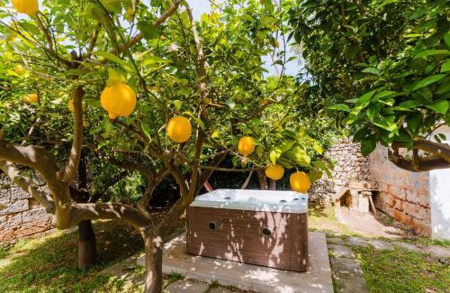 Taviano Villa | Dimora della Quercia