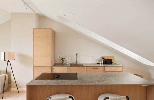 Grunerlokka Apartment | Dinbnb Apartments Grunerlokka I Penthouse Dream