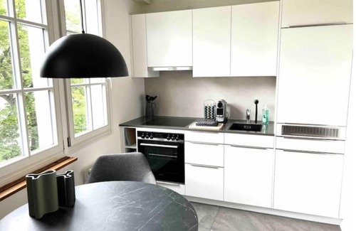 Basel City Centre Apartment | Direct view of the Rhine: 40 sqm RIVERVIEW-LOUNGE design