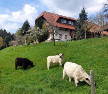 Biederbach House | Dischhof