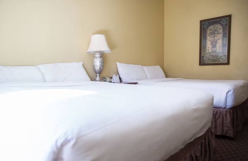 Mount Charleston Hotel | Discover Nature’s Beauty – Free Parking, Pet-Friendly, and All-Season Fun