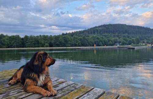 Stronie Slaskie Apartment | Dobre wCzasy