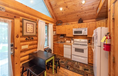 Thayerville Cabin | Dog Friendly Deep Creek Hideaway w/Fireplace