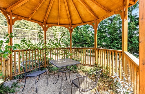 Quilcene Apartment | Dog-friendly hiker's studio with mountain views & fast WiFi - close to hiking