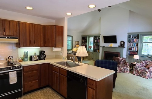 Fort Ann Cottage | Dog friendly lakefront home w/fireplace near Lk George. Telecommuters welcome!