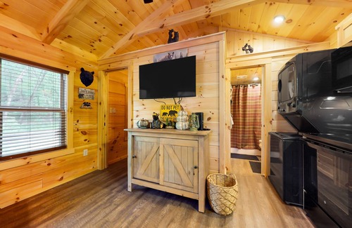 Otto Cabin | Dog-friendly riverfront cabin with mtn & river views, firepit, grill, patio, W/D