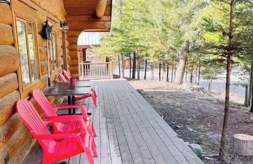 Lac Le Jeune Cabin | Dogs love our cabin in Lac Le Jeune close to lake