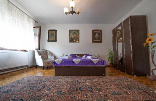 Alba Iulia Apartment | Doi Bujori