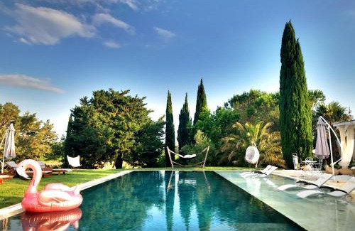 Massa Marittima Bed & Breakfast | Dojo Bianco